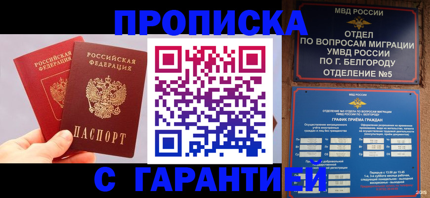 прописка 2025 в Ясногорске